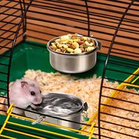 Gamelles d'alimentation pour oiseaux en acier inoxydable écologiques, durables, anti-déversement, design arrondi pour oiseaux, perruches, chinchillas et petits animaux