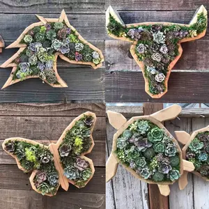 Macetas de madera con forma de Animal para suculentas, maceta con cabeza de toro de tortuga, maceta de trébol, cabeza de caballo, macetas de <span class=keywords><strong>mariposa</strong></span>, accesorios de jardín - Product Image 5