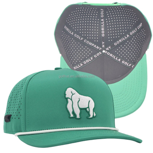 Custom High Quality Polyesters Embroidered Logo 5 Panel Baseball Caps Performance Sport Rope Golf Snapback Hat - Product Image 1