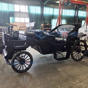 Sightseeing Carriage Special Transportation Leisure Sightseeing Carriage Special Custom Luxury Custom Carriage - Product Image 4