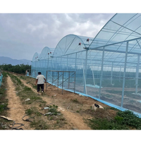Serres agricoles en polytunnel, serres agricoles commerciales, serres agricoles/commerciales, serres vertes