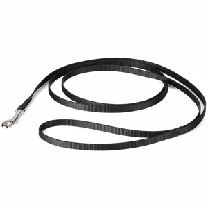Petsafe-Correa de nylon resistente, duradera y de estilo tradicional para perros pequeños, medianos y grandes, fácil de usar, 3/8 "X - Product Image 1