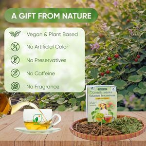 Centella Asiatica Solanum Procumbens Herbal Tea for Skin Rejuvenation - NMPT (40 Bags) - Product Image 6