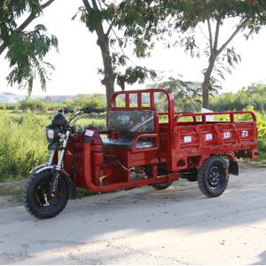 Low-Cost Gas-Powered Tricycle for Efficient Goods Transportation Reliable Tricycle <b>Gasoline</b> Motorcycle - Product Image 1