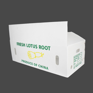 Lámina hueca de PP impermeable de grado alimenticio, cartón corrugado para envasado de frutas, almacenamiento de verduras y contenedores desechables para alimentos - Product Image 4