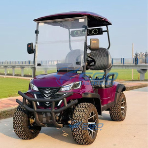 Carrito de Golf Eléctrico de 2 Plazas con Batería de Litio y Color Personalizable, Alto Rendimiento, Entrega Rápida - Product Image 6