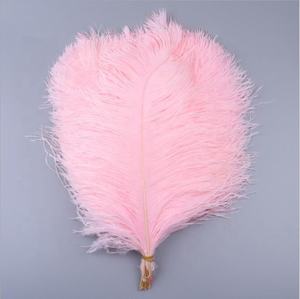 Fournisseurs en gros de grandes <span class=keywords><strong>plumes</strong></span> d'autruche <span class=keywords><strong>blanches</strong></span> de 75-80 cm pour la décoration de carnaval et de festival, <span class=keywords><strong>plumes</strong></span> d'autruche décoratives pour les mariages et les fêtes - Product Image 5