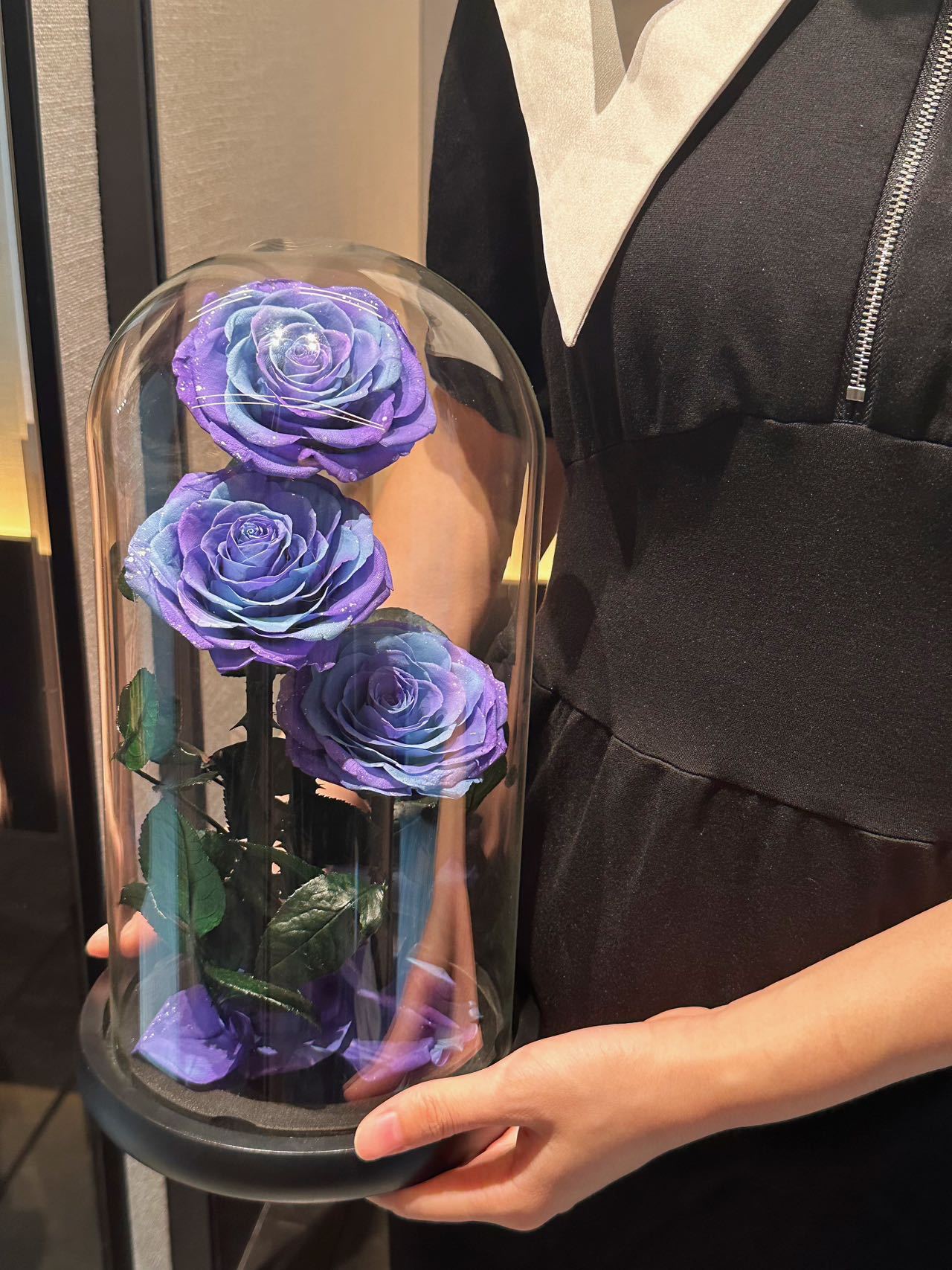 Sansheng iii 1530cm-galaxy rose series