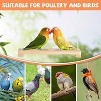 Jouet pour volailles JQ Safe, perchoir à bascule en bois naturel de 40 cm avec perles en bois, design durable pour poules et oiseaux