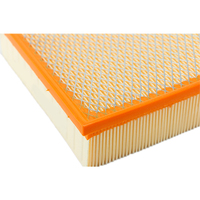 Filtro de Aire para Autopartes para JMC E9P29601AA LX3978 9P29601AA