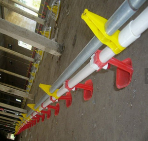 Juego <span class=keywords><strong>de</strong></span> comedero <span class=keywords><strong>y</strong></span> bebedero <span class=keywords><strong>de</strong></span> <span class=keywords><strong>pollos</strong></span> <span class=keywords><strong>de</strong></span> plástico <span class=keywords><strong>de</strong></span> ingeniería, sistema <span class=keywords><strong>de</strong></span> línea <span class=keywords><strong>de</strong></span> bebedero <span class=keywords><strong>de</strong></span> pezón, equipo <span class=keywords><strong>de</strong></span> cría <span class=keywords><strong>de</strong></span> aves <span class=keywords><strong>de</strong></span> corral, fuente Horizontal - Product Image 6