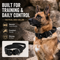 Collier pour chien en nylon robuste avec sangle réglable pour chiens de travail, activités de plein air, entraînement, promenade, OEM personnalisé