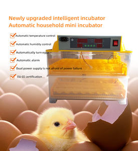 卵インキュベーター12 Vバッテリー/ソーラーパネルインキュベーター - Product Image 6