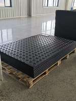 Panneau de pavage en HDPE durable, résistant à l'usure, réutilisable, plaque de base pour routes, pour la construction et la protection des paysages
