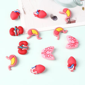 2025 nuovo stile di alta qualità 3D organo a tema medico Silicone perline focali per penne - Product Image 4