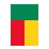 Drapeau du Bénin en gros, guirlande de fanions 14*21CM, motif imprimé numériquement pour décorations