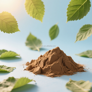 Precio de fábrica 5% DNJ 1-Deoxynojirimycin Halal certificado Extracto de hoja de morera Suplemento HPLC Probado Bolsa a granel Almacenamiento de latas de tambor - Product Image 4