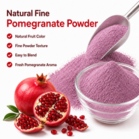 Granaatappel Extract Poeder Schil Extract Fruit Poeder Wateroplosbaar Ingrediënt OEM ODM Bulk Groothandel Fabriek Leverancier Export COA