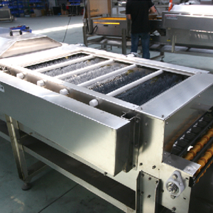 Meilleure Vente : Ligne de Tri Automatique d'Œufs de Crevettes et d'Escargots, Machine de Tri et de Calibrage d'Œufs <span class=keywords><strong>à</strong></span> Convoyeur - Product Image 6