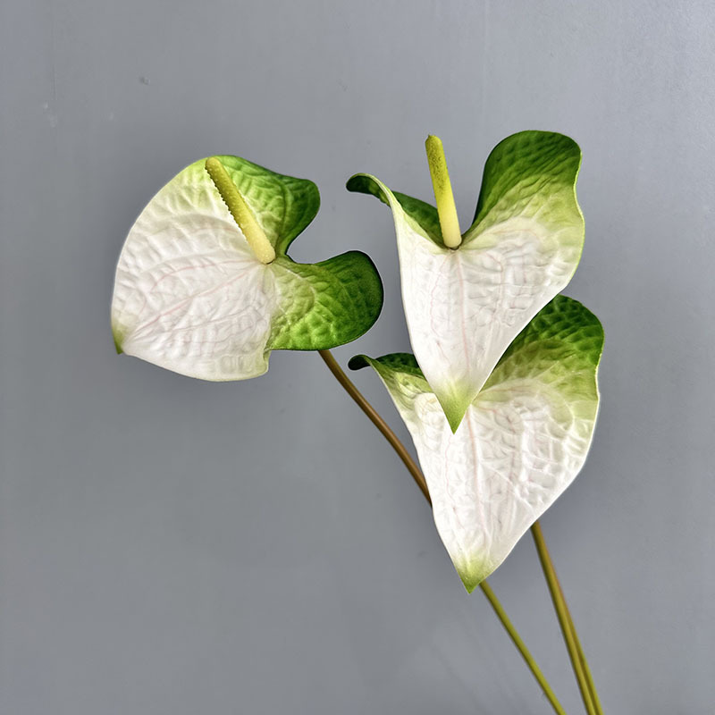 Ev trumpet red-palm green-white