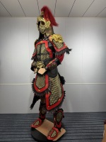Vestes et Manteaux de Guerrier Chinois Ancien avec Chaîne Dorée, Costume de Guerrier Rouge et Noir, Plume Rouge, Casque Doré, Visage Historique