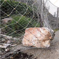 Système de protection des pentes SNS, prévention des chutes de pierres, construction de mailles en chaîne, filet en fil de fer galvanisé