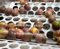 Tomaat Knoflook Roller Grader Apple Passiefruit Classificator Automatische Uienpluksorteermachine