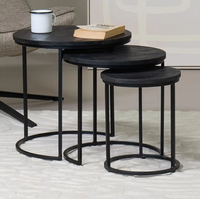 Ensemble de tables basses gigognes modernes en métal de style luxueux avec design décoratif, meubles écologiques pour salon et chambre à coucher