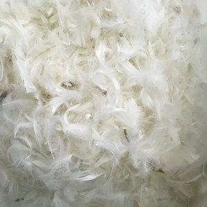 Venta al por mayor nueva chaqueta de plumón de pato blanco puro estándar nacional 90% patrón lavado materias primas de calidad estándar superior - Product Image 4