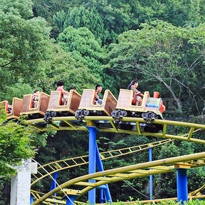 Atracciones de Parque de Diversiones, Montaña Rusa para Adultos y Niños, Montaña Rusa Familiar en Venta - Product Image 5