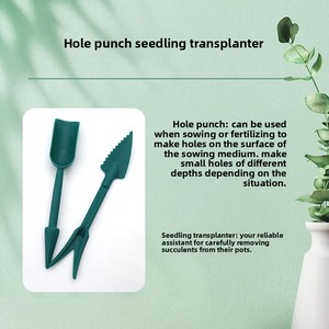 Plateau de semis multifonctionnel en <span class=keywords><strong>plastique</strong></span> X160 avec perforateur pour plantes succulentes - Product Image 6