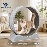 Roue d'exercice pour chat en plastique gris, motif patte segmenté, tapis silencieux, jouet de course, 2 tailles de base, 7 kg