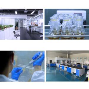 Manufacurter ISO สารสกัดจากดอกกุหลาบ Rosa Gallica halal - Product Image 5