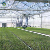 Structure de serres Sainpoly en tubes galvanisés, serre en polycarbonate, système de ventilation de serre