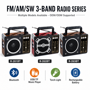 Radio Portátil RAISENG R-260BT--R-263BT <span class=keywords><strong>FM</strong></span> AM SW de 3 Bandas, Radio Recargable, Reproductor de Música USB TF, Carga Tipo-C - Product Image 3
