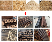 Machine à briquettes de sciure de bois à économie d'énergie, extrudeuse automatique de combustible biomasse pour le recyclage des déchets de bois