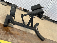 Équipement de gymnastique de force commerciale populaire machine d'extension de dossier de chaise romaine