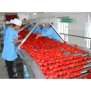 Hoge Efficiëntie Tomatenpuree Apparatuur/Automatische Tomaten Pasta Maken Machine/Kleine Ketchup Productielijn