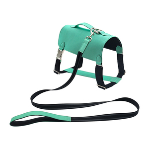 <span class=keywords><strong>2026</strong></span> Neues Design Personalisiertes PU-Tierhalsband und Leinen-Set mit Einfarbigem Druck und Zierbändern - Product Image 4