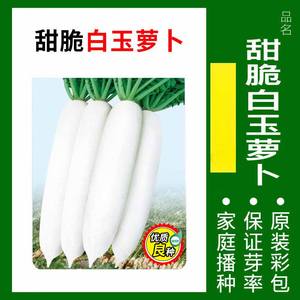 ผักพันธุ์ดี ให้ผลผลิตสูงและออกผลเร็ว เหมาะสำหรับปลูกตกแต่งสวนดอกไม้ - Product Image 4