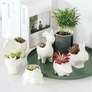 <span class=keywords><strong>Pot</strong></span> de fleurs en céramique, plante succulente, pots en forme d'animaux, pots de fleurs pour la maison, le bureau, le jardin, la décoration de bureau, le bonsaï - Product Image 1