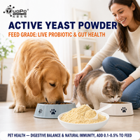 Poudre de levure active avec ≥80 % de cellules vivantes, microbes bénéfiques pour la colonisation intestinale animale et le soutien de la santé