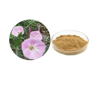 Extracto Natural en Polvo de <span class=keywords><strong>Convolvulus</strong></span> Arvensis L 10:1 P.E. de <span class=keywords><strong>Convolvulus</strong></span> Arvensis L - Product Image 1