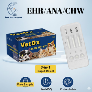 Pruebas <span class=keywords><strong>R</strong></span>ápidas Caninas, Prueba Veterinaria de 3 Vías, Kit de Prueba <span class=keywords><strong>R</strong></span>ápida para Perros para Erhlicia, Anaplasma, Babesia, Ehr/<span class=keywords><strong>Bab</strong></span>/Ana Ab - Product Image 2