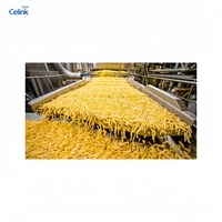 Volledig automatische industriële snelvrieslijn voor het produceren van frites met complete verwerkingsapparatuur