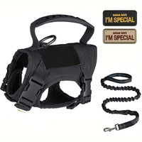 Harnais de poitrine tactique pour chat, style gilet, avec laisse de traction antidérapante et réglable, pour extérieur, ensemble harnais et laisse coulissante pour petit chien