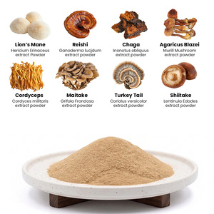 Vital Green Private Label 3 in 1 Biologico Reishi Cordyceps Fungo Criniera di Leone <span class=keywords><strong>Chaga</strong></span> Estratto in Polvere Grado Alimentare Bottiglia Fusto - Product Image 1