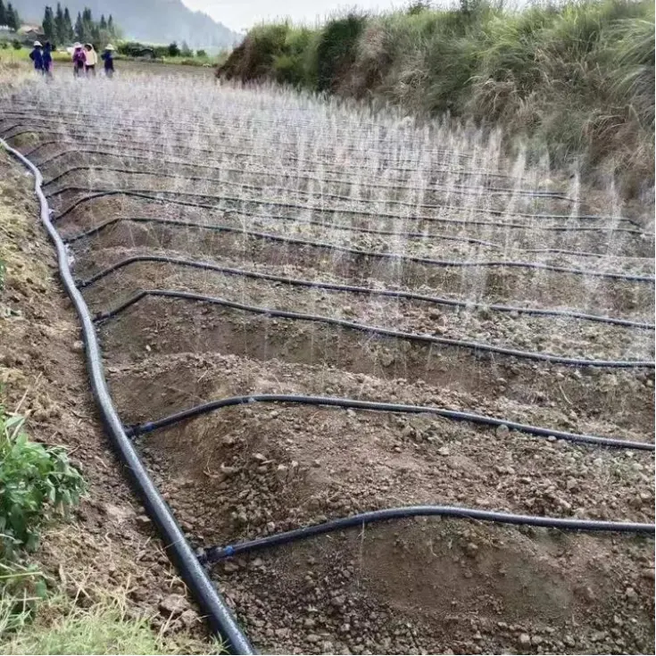 Système d'irrigation agricole tuyau d'arrosage d'irrigation agricole micro ruban de pulvérisation tuyau de pluie de jardin