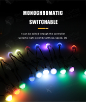 2019 SMD 5050 Intérieur LED RVB Paysage Éclairage 26mm 3 Points IP65 PC Lampe Corps Logiciel Point Modifiable Ampoules