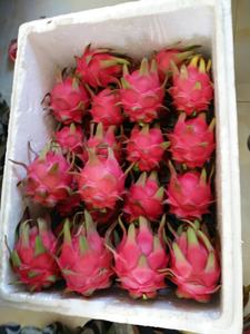 All'ingrosso frutta fresca del drago deliziosa Pitaya nutriente frutto del drago rosso - Product Image 5